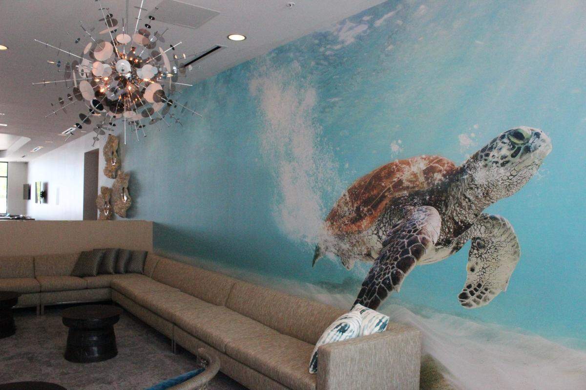 SpringHill Suites by Marriott at 102 12th St. W. on the Bradenton riverfront captures a bit of natural Florida that is so important to Manatee County with sea turtle art in its lobby. The hotel is set to open Friday afternoon and has already booked its first guests.
