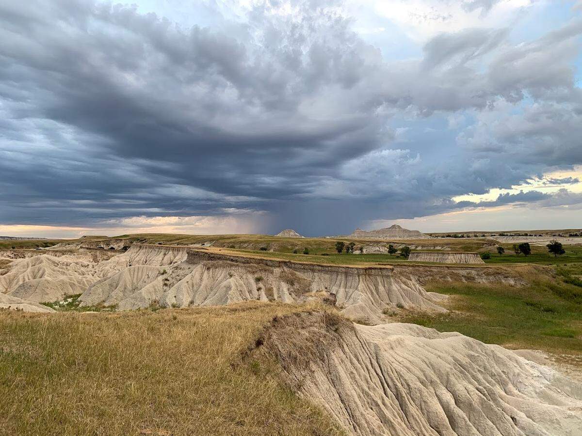 A new exhibit at The Bishop Museum of Science and Nature, open Jan. 28-June 6, 2021, explores the ancient animals of the Nebraska Badlands through the experiences of Manatee County teachers who took part in paleontology digs there.