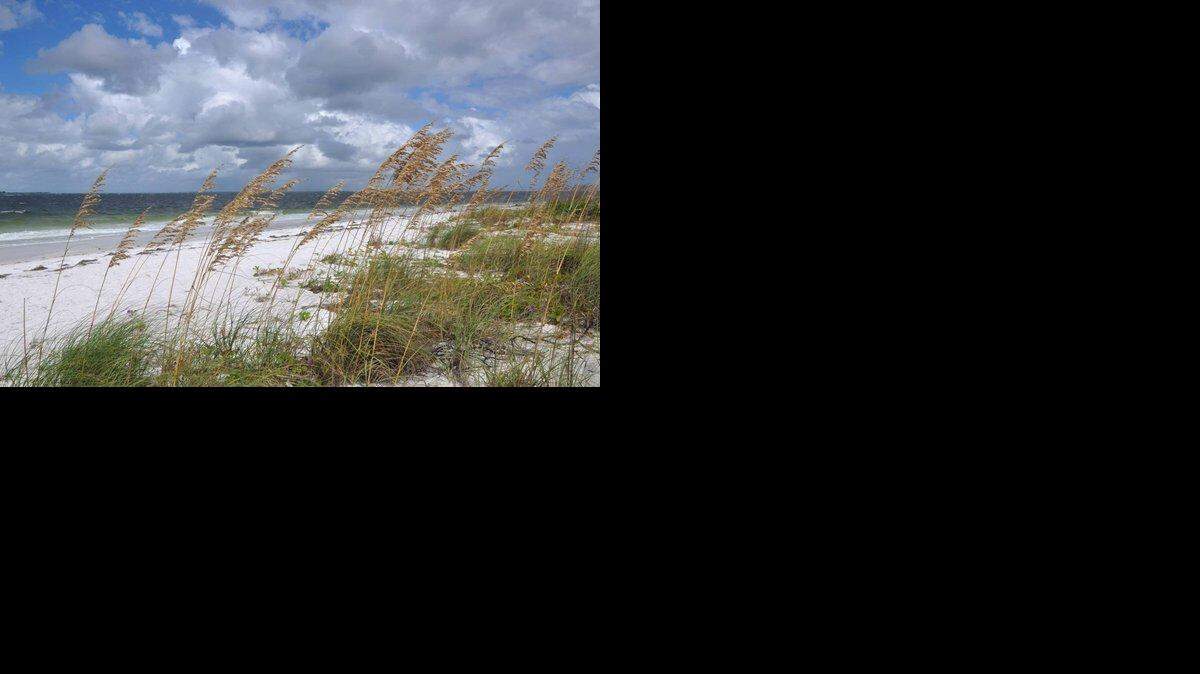Anna Maria Island