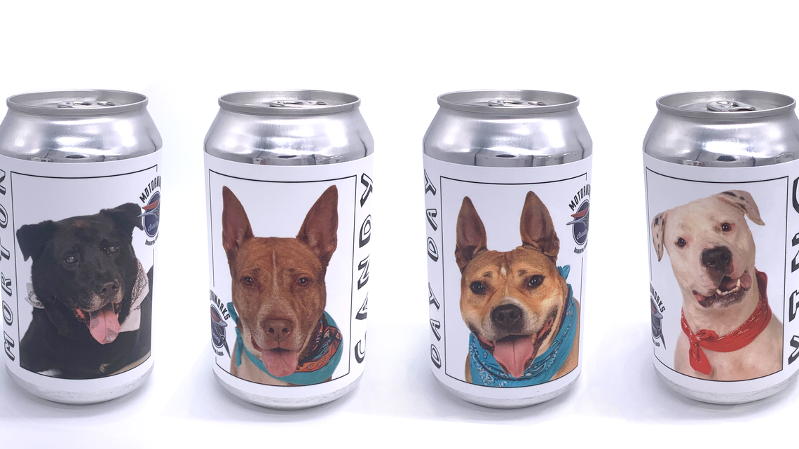 Bradenton brewery’s beer reunited lost dog with owner. There are only a few cans left
