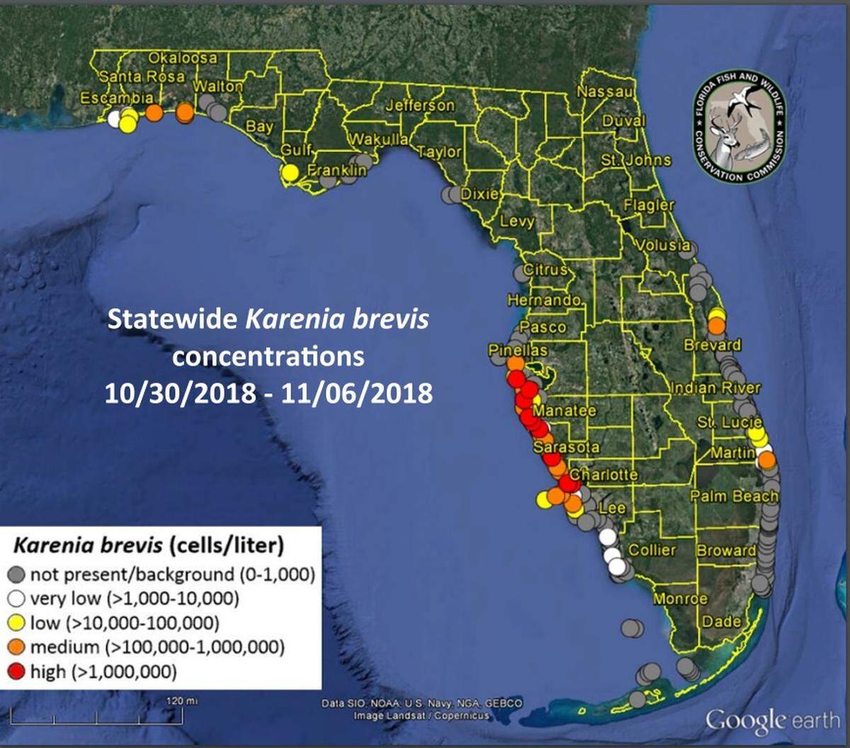 A map of red tide levels as of November 6, 2018.