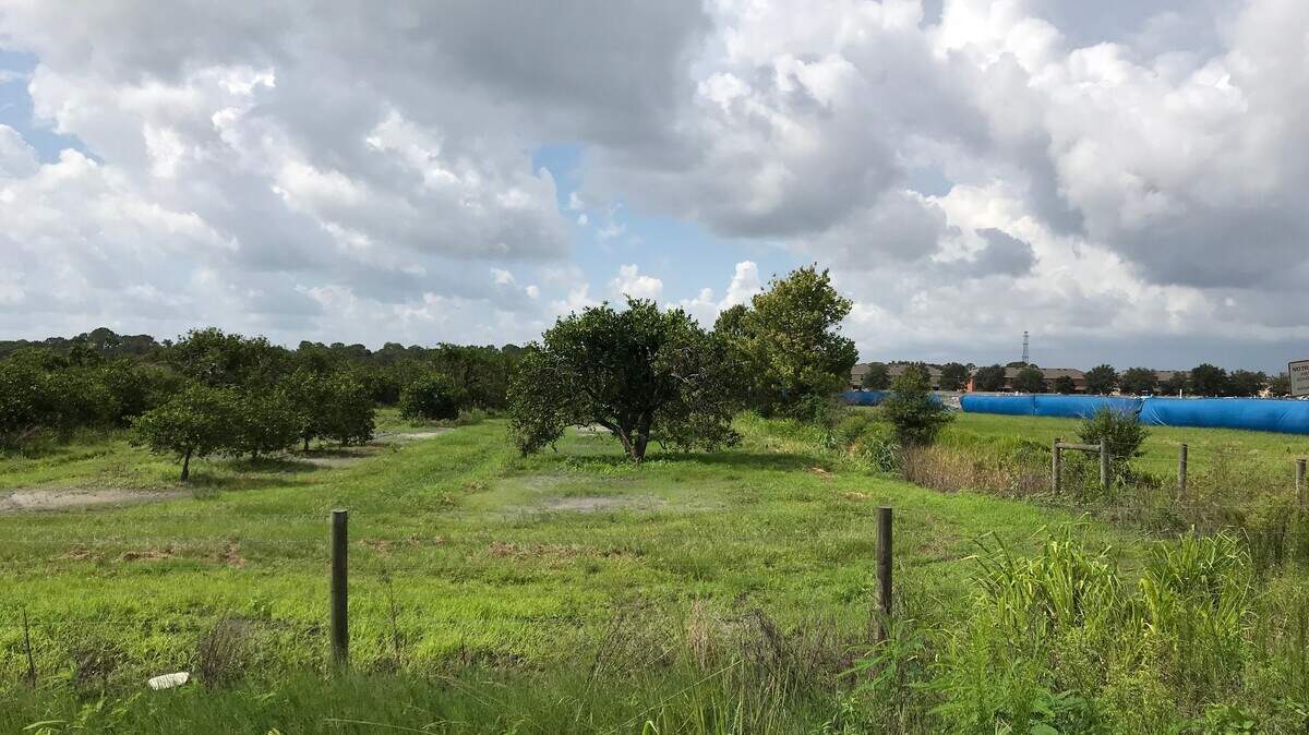 Neal Land is seeking preliminary site plan approval to develop this 138-acre orange grove site off Moccasin Wallow Road into Morgan’s Glen with 270 single-family detached homes and 115,216 square foot of retail commercial space. The blue fencing at right is the Barbara Harvey Elementary School construction site.