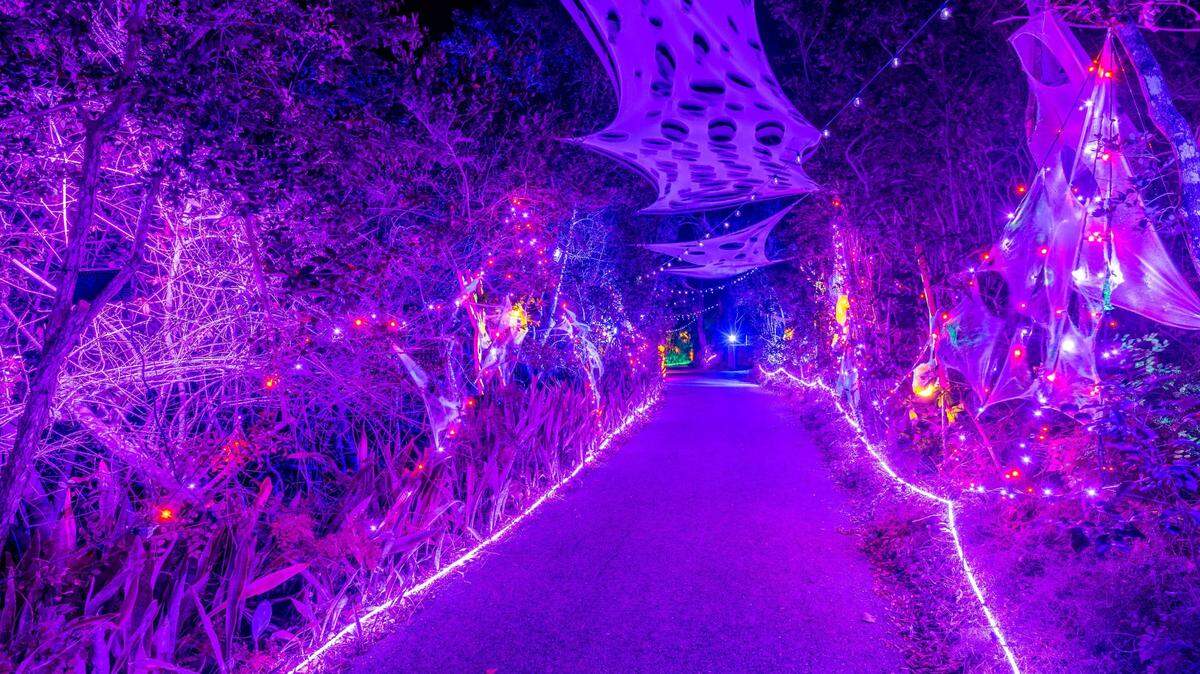 Fantastical illuminated scenes await guests at Marie Selby Botanical Gardens’ Lights at Spooky Point, running Oct. 13-31, 2023 at the Historic Spanish Point Campus in Osprey.