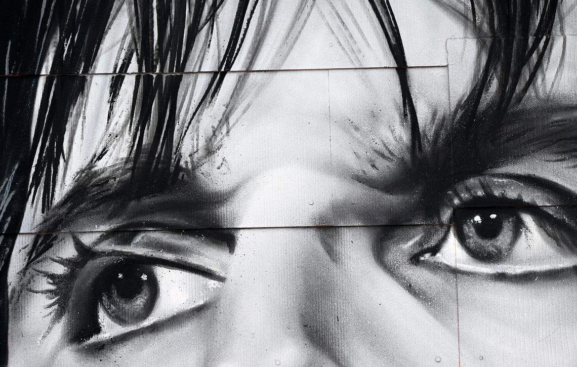 The Village of the Arts in Bradenton is holding a WonderWall Mural Fest to celebrate arts and connect with the community on March 7, 2026. A mural near Jerk Dog Records on Feb. 26, 2026.