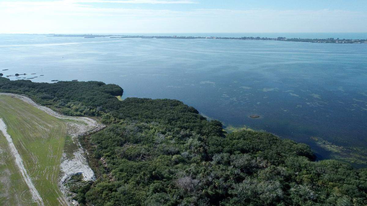 Anticipating a change in county rules that would defer wetland protection to the state, developers of Aqua by the Bay are proposing minimal or no wetland buffers for the next phase of the development.