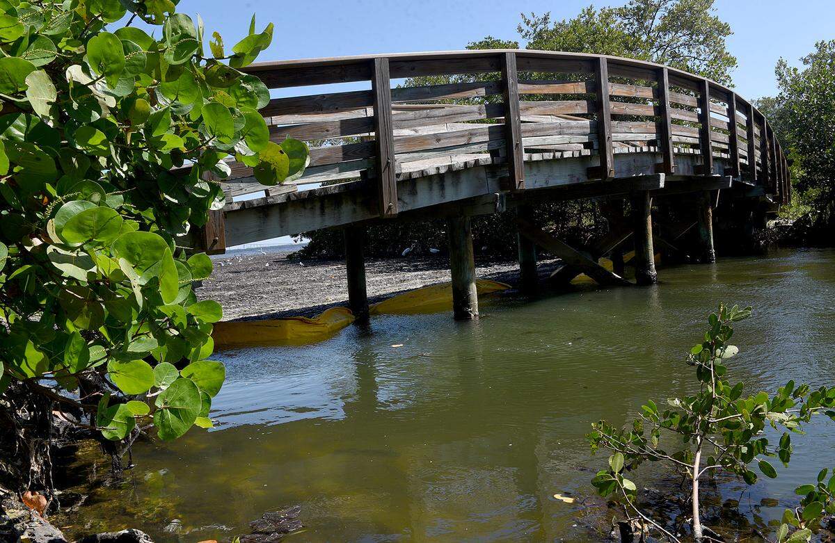 050/06/21—In the shadow of this bridge are barriers Manatee County is using at the inlets to Tampa Bay and Palma Sola Bay to keep an algae growth from entering the waters of Robinson Preserve.