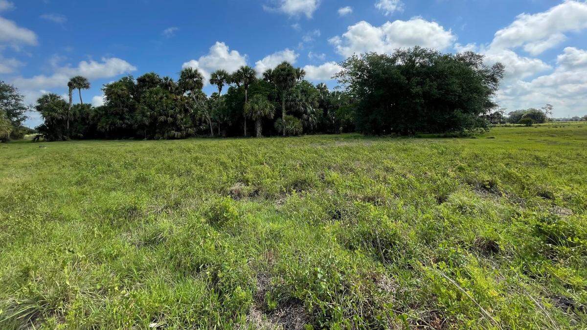 Sarasota County recently purchased 290 environmentally sensitive acres along the Sarasota-Manatee county line.