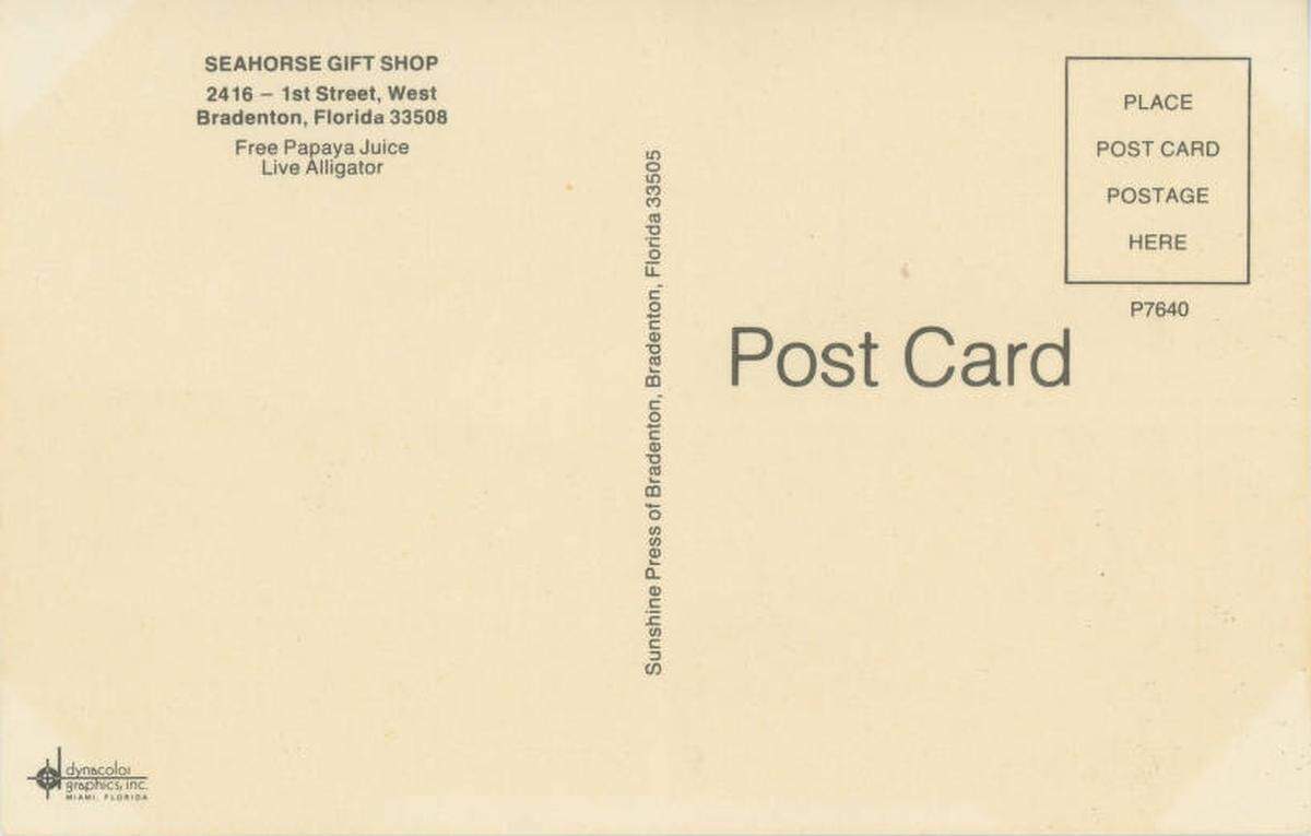 The back of a post card for the Sea Horse Gift Shop in Bradenton advertises free papaya juice and a live alligator. 