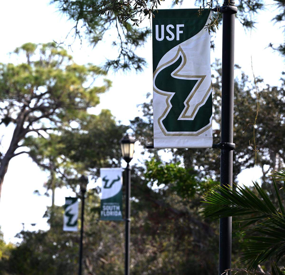 USF Sarasota-Manatee in Sarasota on Dec. 23, 2025.