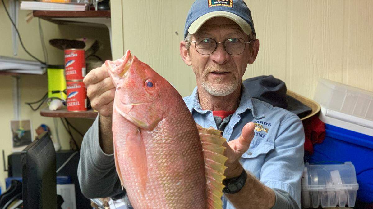 This is one of the recent hydrid snapper catches from Hubbard’s Marina.