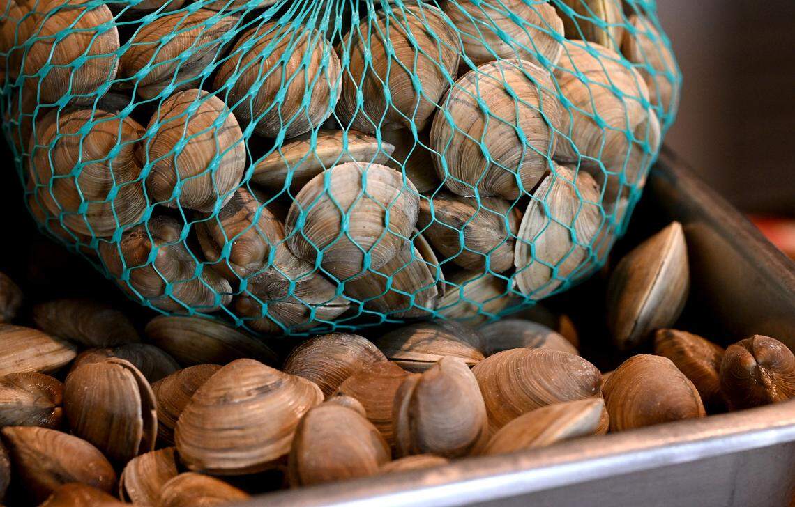 Littleneck clams available at Shuck It on Main Street in downtown Bradenton on May 28, 2025.