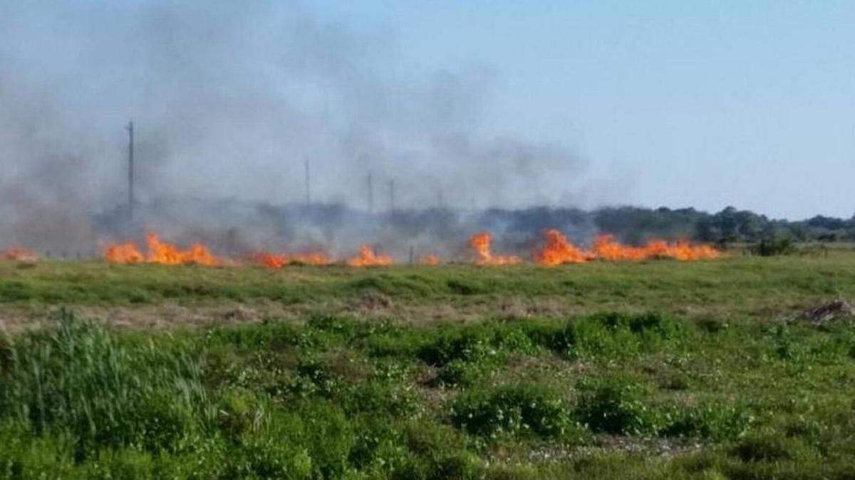 Sarasota County officials issued a burn ban Wednesday due to dry weather conditions.