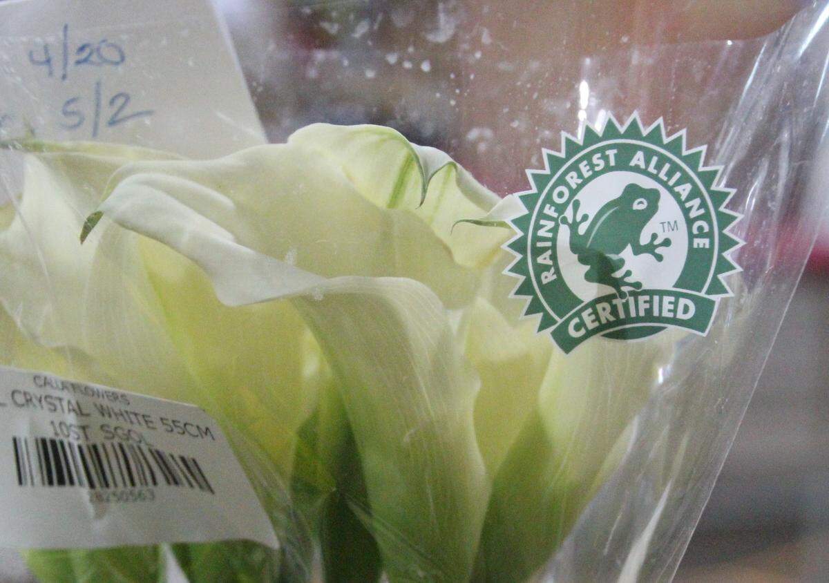 Imported cut flowers at the Manatee Farms cold storage area bear the seal of the Rain Forest Alliance, attesting to their sustainable production.