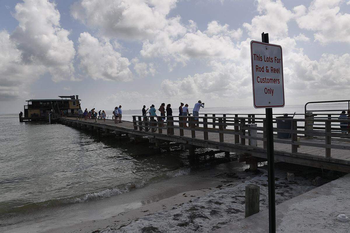 People line up along the Rod & Reel Pier in August 2018 to watch a pod of manatees in the waters.