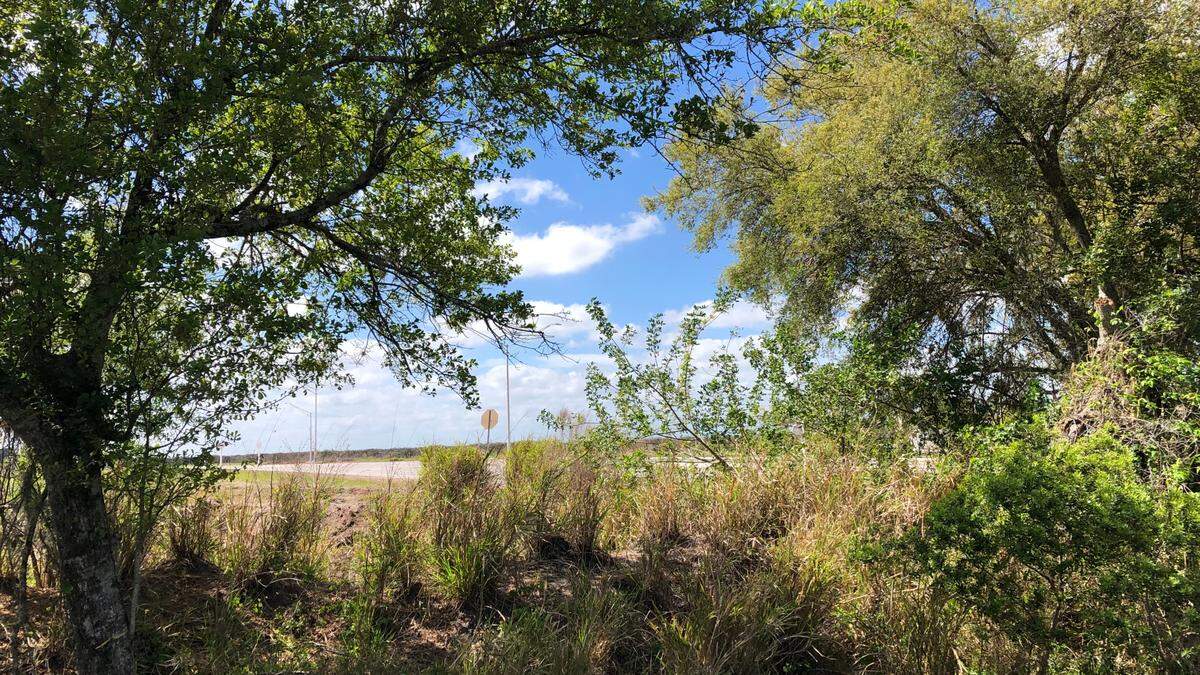 3/17/2021--Developer Schroeder-Manatee Ranch is seeking an exception to the county’s comprehensive plan to allow it to develop 2,300 acres east of Manatee County’s future development area boundary. The line was established to preserve agricultural lands. Shown above is Bourneside Road, along one edge of the property in question. The request is scheduled to go before the county commission on April 15.