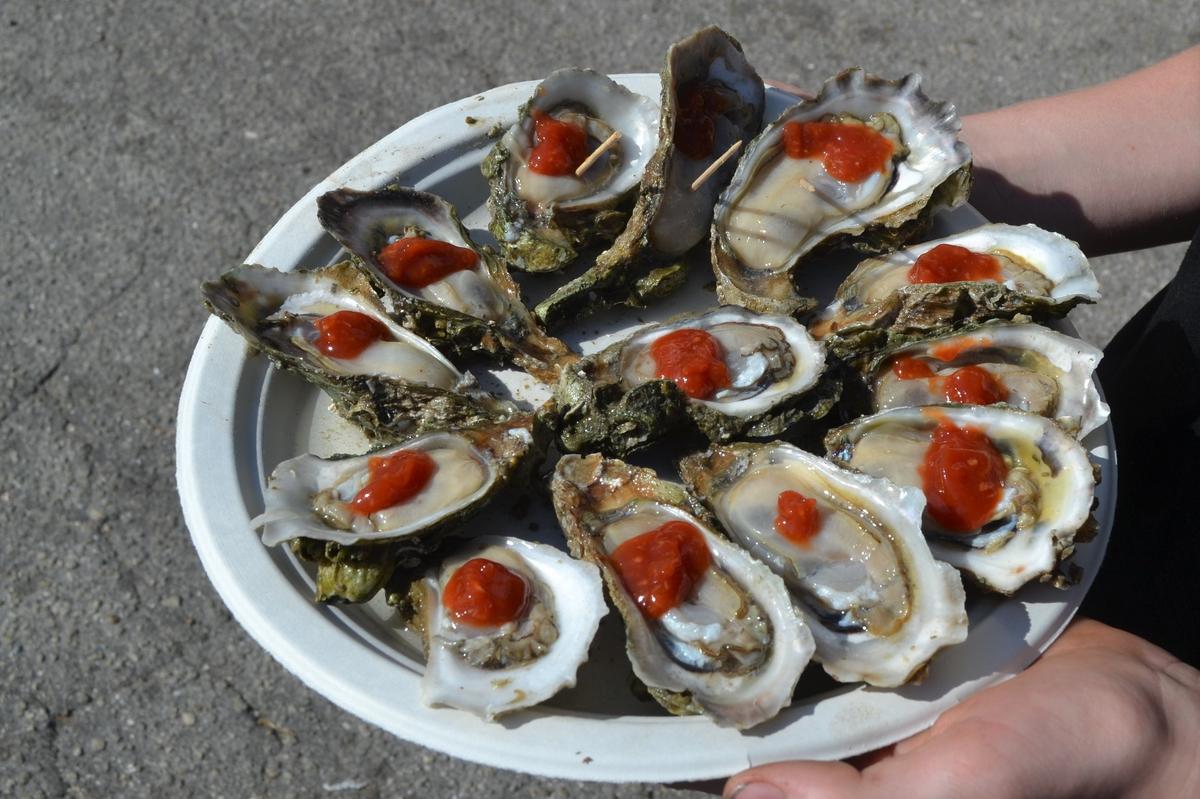 Fresh-shucked shellfish was a popular offering at the 37th annual Cortez Fishing Festival.