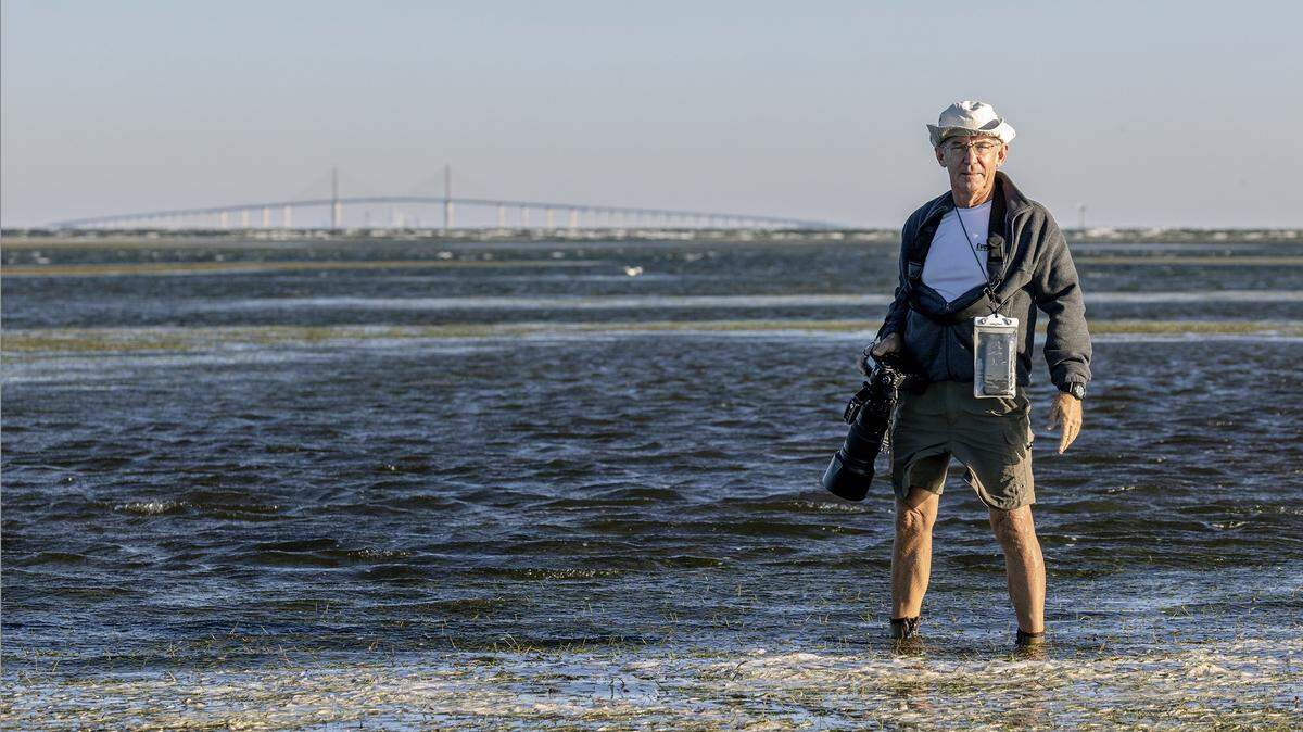 Mac Carraway, who has won respect for his business smarts, has also won notice for his wildlife photography. He is shown above wading in the Manatee River on the north side of Robinson Preserve.
