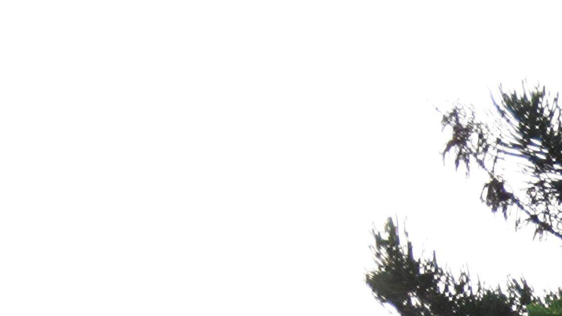 High-speed crash in Bradenton traps three