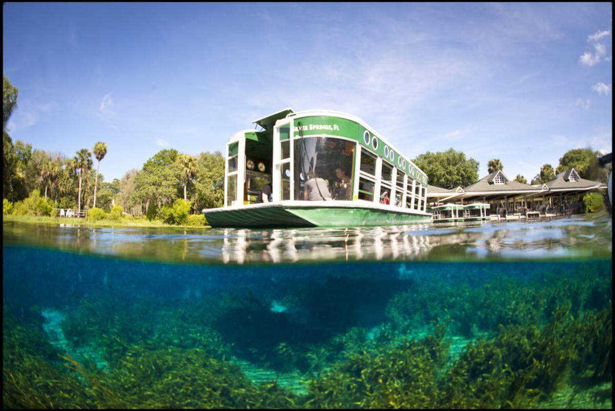 Silver Springs was once an amusement park, but when it closed it was transformed into a state park.