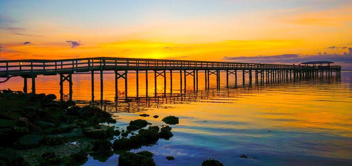 Safety Harbor Pier is a great place to watch enjoy the sunset hours...or to see the evening bats come out.