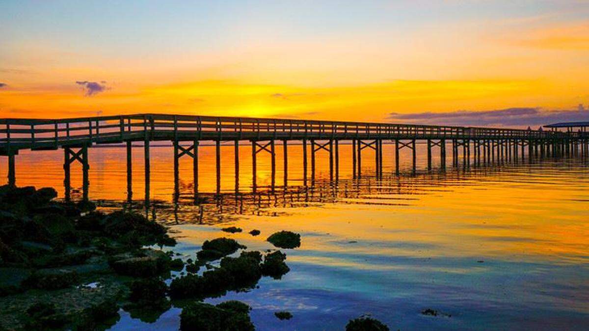 Safety Harbor Pier is a great place to watch enjoy the sunset hours...or to see the evening bats come out.