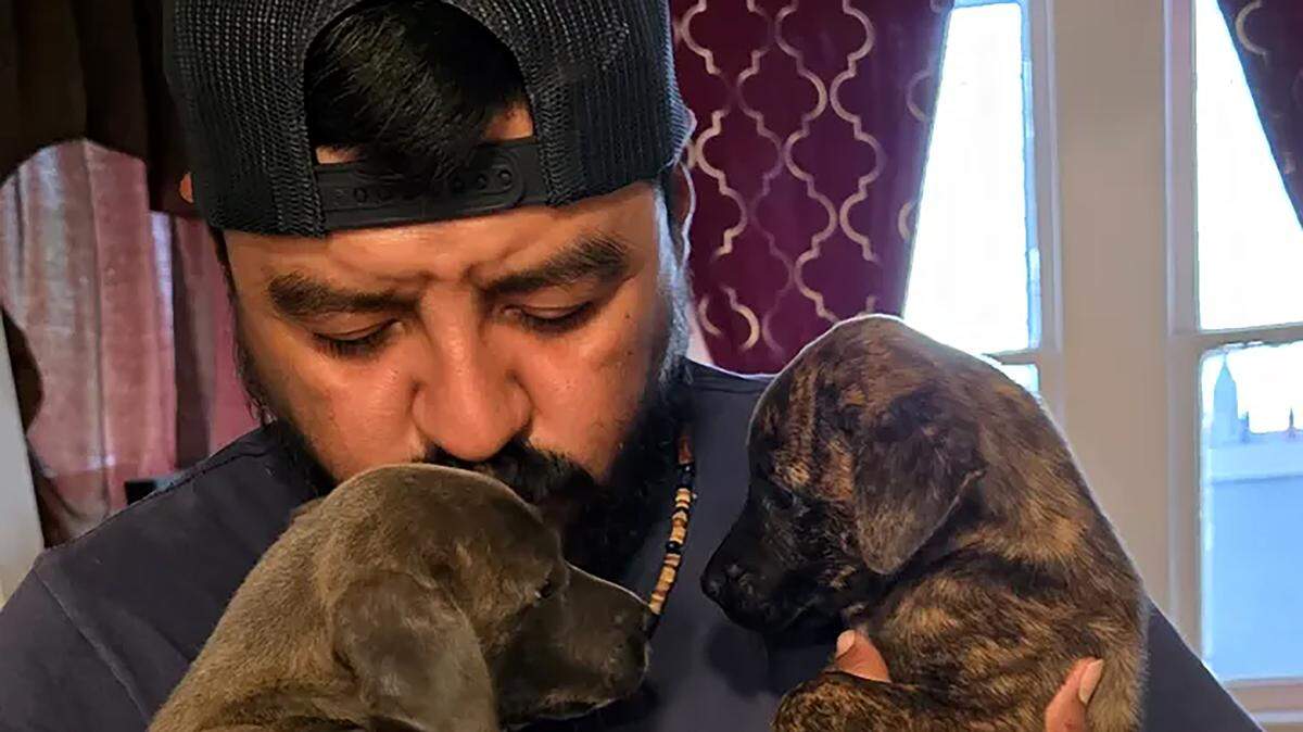 Jose Terrones died in a car accident on Saturday morning. A GoFundMe has been created to support his family with his funeral expenses, their mortgage payments, the children’s needs and his mother’s medical care.
