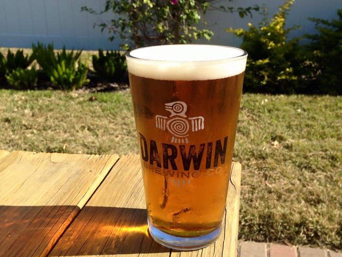 Darwin's Summadayze IPA is available on draft in the taproom and on store shelves throughout Florida.