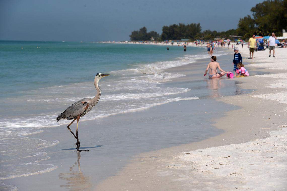 With average lodging costing $294 per night, Anna Maria Island ranked as Florida’s most expensive spring destination in a recent survey.. File photo is from 03/12/20.
