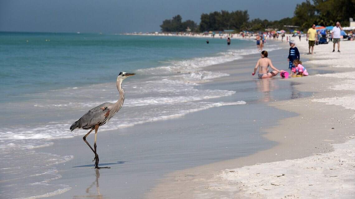 Manatee heat advisory issued as feels like temperature reaches 110, NWS says
