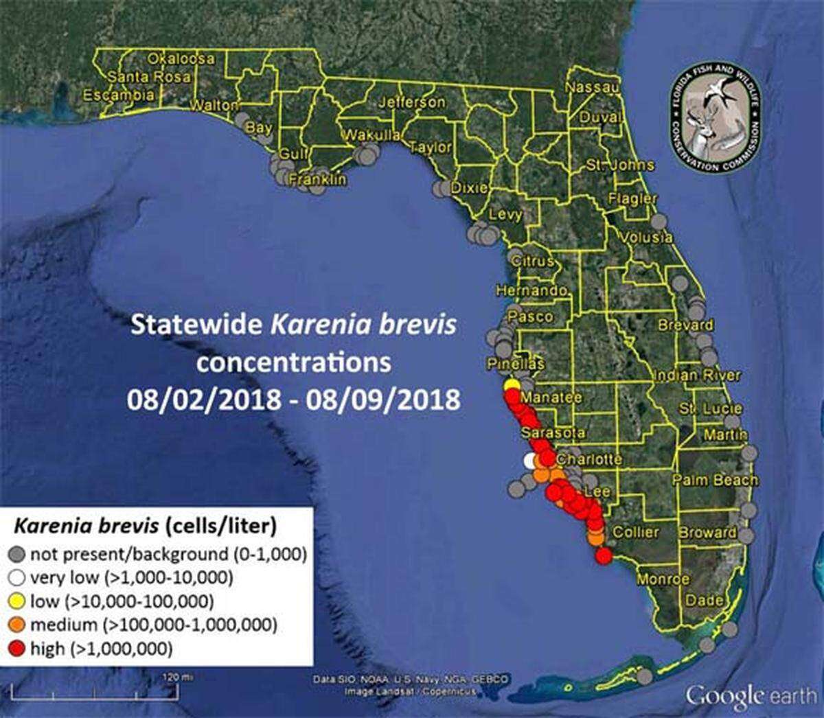 In an update released Friday afternoon, Florida Fish and Wildlife Conservation Commission officials say eight samples taken in Manatee County waters revealed very low to high concentrations of the Karenia brevis, the red tide algae strain.