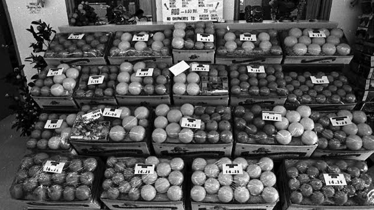 Sample citrus gift boxes at Mixon Fruit Farm that could be shipped to friends and family.Photo courtesy of Manatee County Public Library Historical Papers Digital Collection.