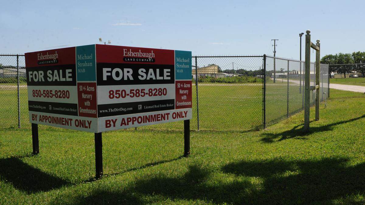 Manatee School District wants to purchase 50 acres of land, currently Aris Horticulture, 11601 Erie Rd., to join land to the south that is already owned by the district to possibly build a new high school north of the river near Parrish. 
 GRANT JEFFERIES/Bradenton Herald