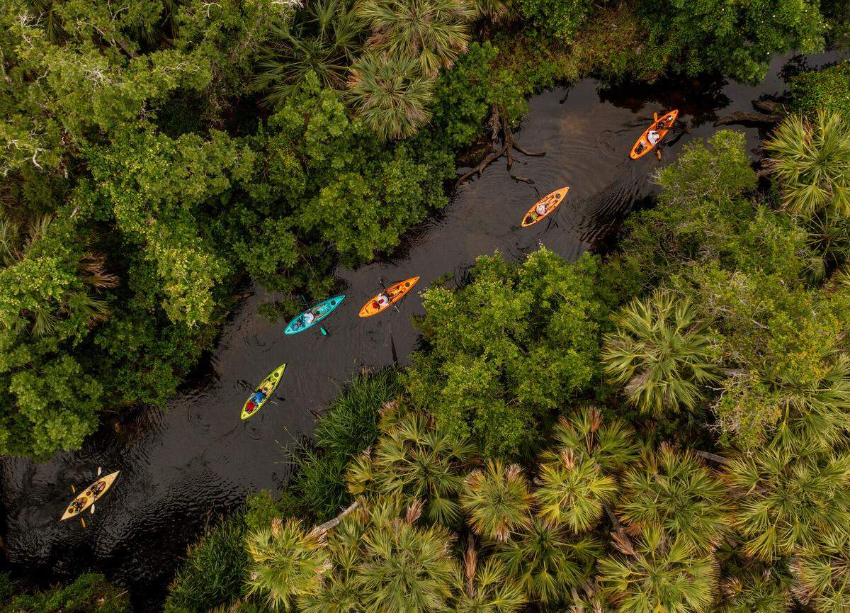 A snapshot of kayakers on the St. Sebastian River in East Central Florida by Jeff Howe won first place in the “Recreation” category for the Florida Wildlife Federation’s 2025 statewide photo contest.