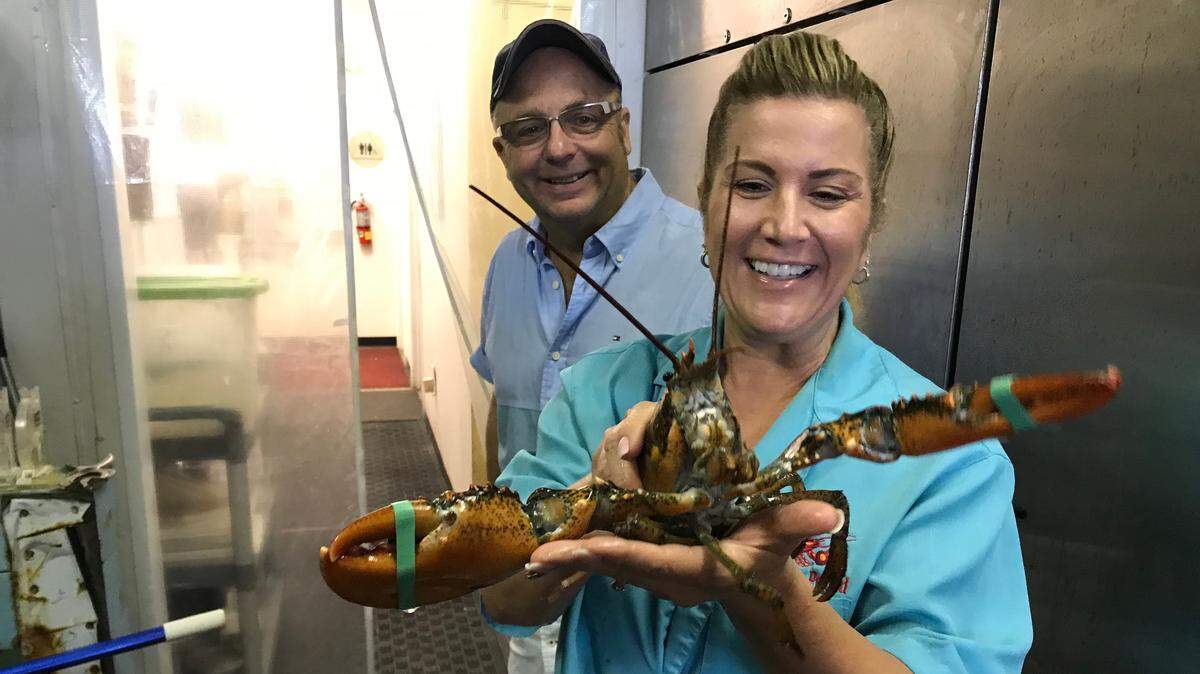 Jim and Kelly Pierzga are shown with one of their 1 1/2-pound Maine lobsters at the Lobster Pound,8740 State Road 70, near Lakewood Ranch. The lobsters also come in larger sizes.