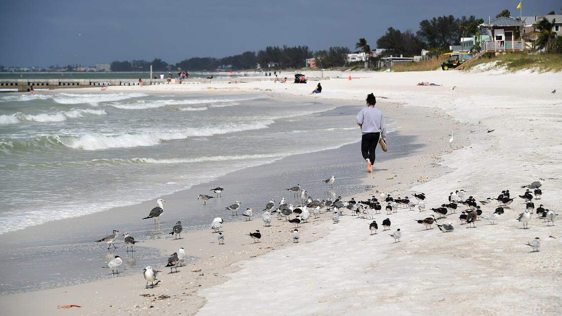 Watch Hurricane Helene come ashore in Florida with these beach camera live streams