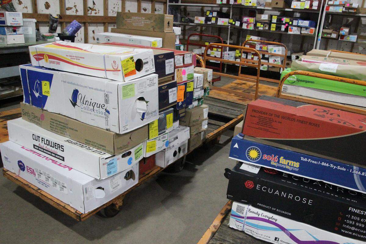 Boxes of imported cut flowers await delivery to retainers at the Manatee Farms cold storage facility north of Palmetto.