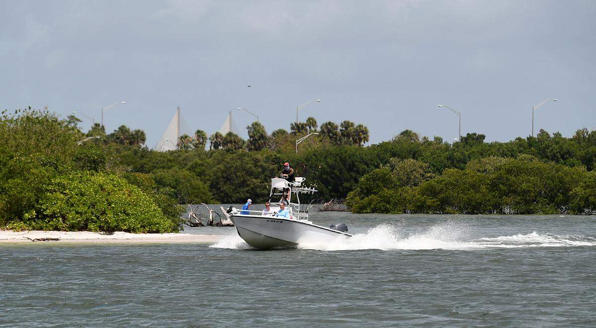 A boater goes past one of the many keys near the Sunshine Skyway Bridge in the Terra Ceia Bay area. 