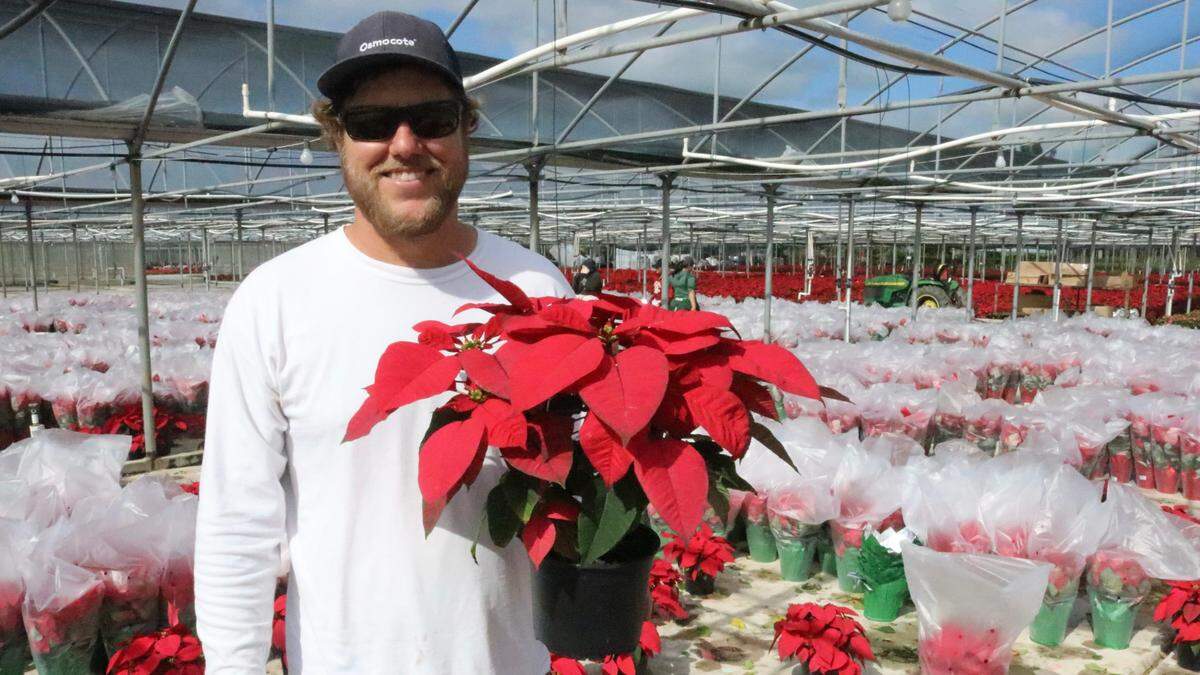 Orban’s Nursery will have its 32nd annual poinsettia open house this weekend despite damage suffered during hurricanes Ian and Nicole. Shown above is owner Tyler Orban.