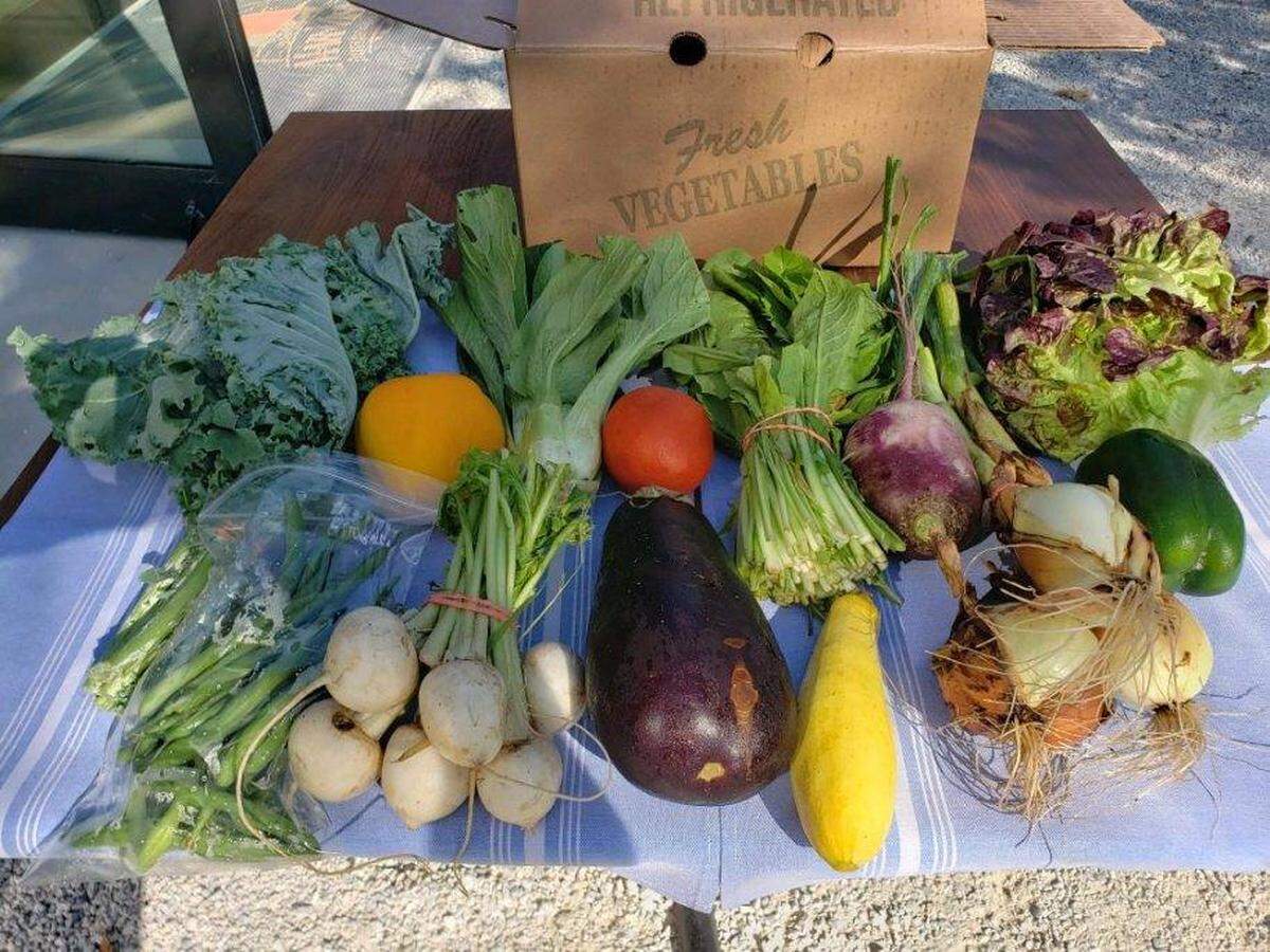 Bradenton area food banks report that the number of these needing help has been growing during the coronavirus pandemic.