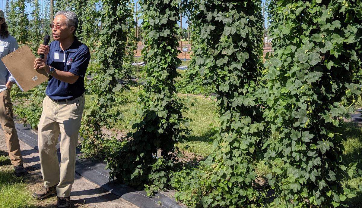 Zhanao Deng, lead hops researcher at the UF IFAS Gulf Coast Research and Education Center, lectures on his team’s latest findings during the Hops Field Day event.