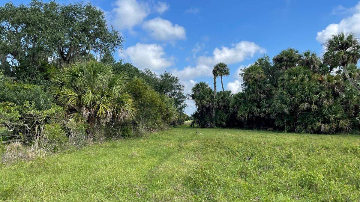 Sarasota County recently purchased 290 environmentally sensitive acres along the Sarasota-Manatee county line.