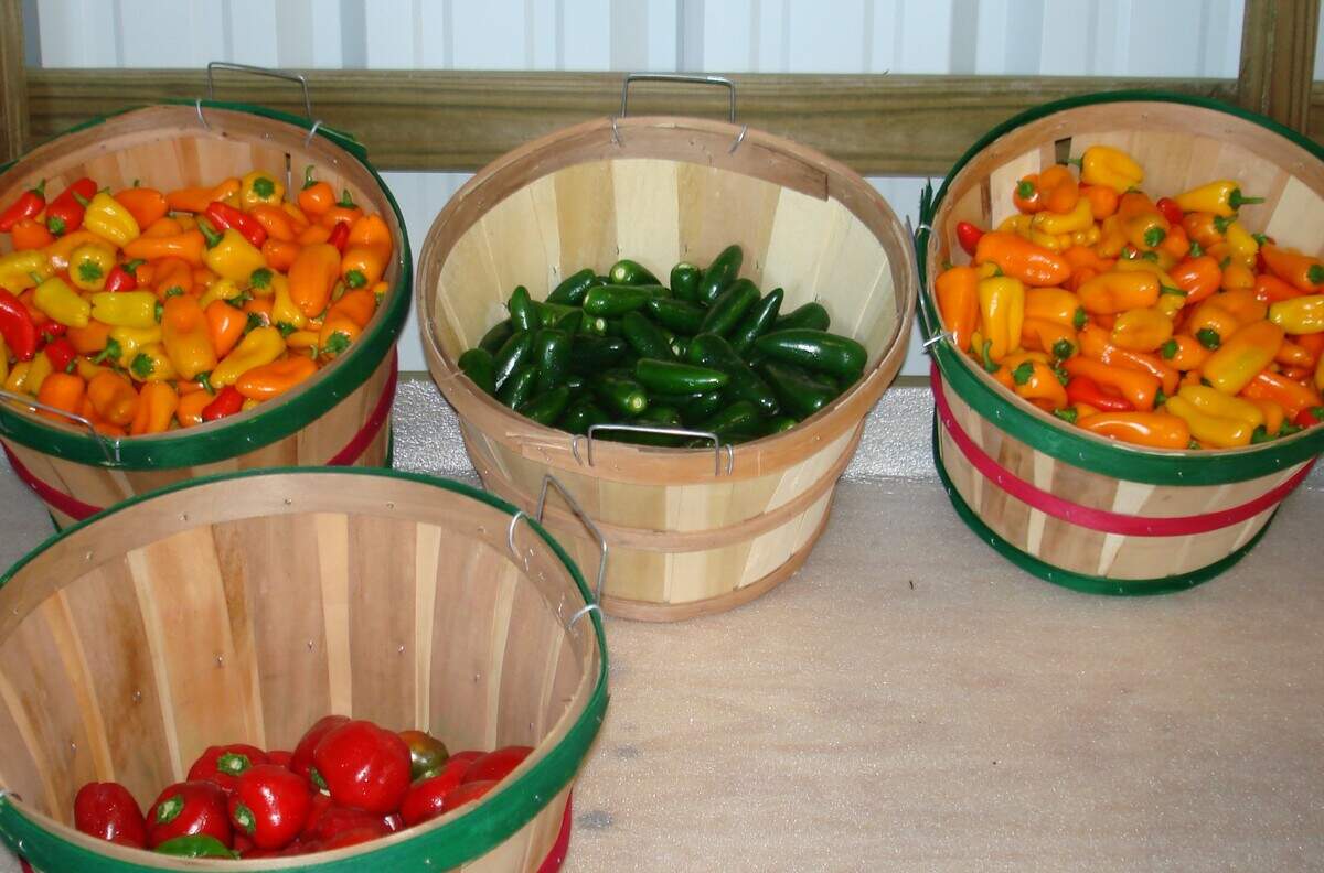 C&D Fruit & Vegetable Company raises peppers, tomatoes, beans, squash and strawberries.