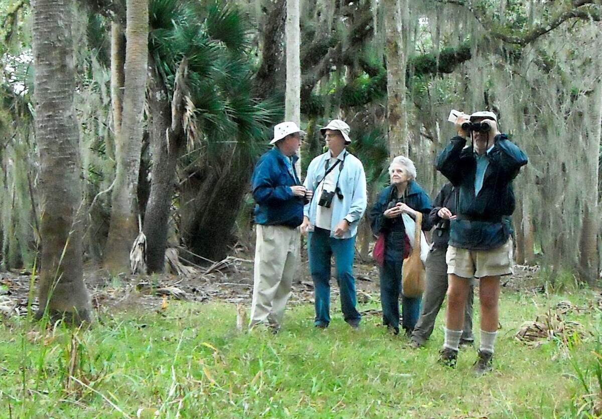 Volunteers enjoyed the scenery at Myakka River State Park during the annual Christmas Bird Count.