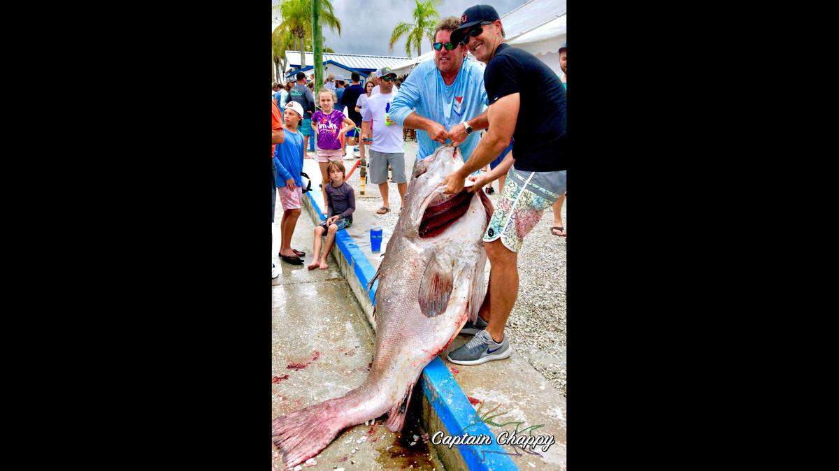 The 2018 Crosthwait Memorial Fishing Tournament featured a 293-pound warsaw grouper landed by Team Seaveeche.