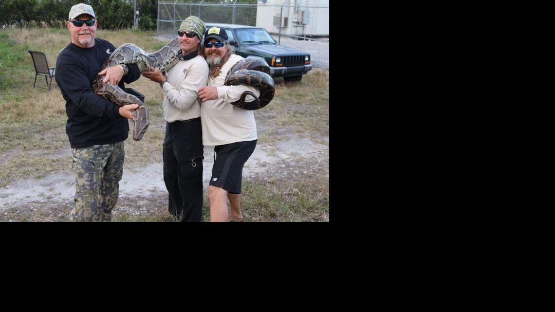 106 snakes were removed during the month long competition that took place between Jan. 16 and Feb. 14. FWC photo