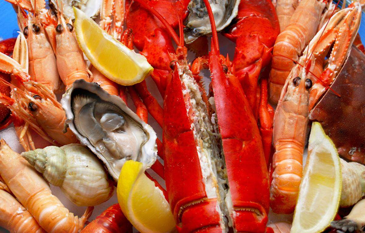 Enjoy fresh local seafood and live entertainment all weekend long at the Sarasota Seafood and Music Festival, which runs Friday-Sunday.