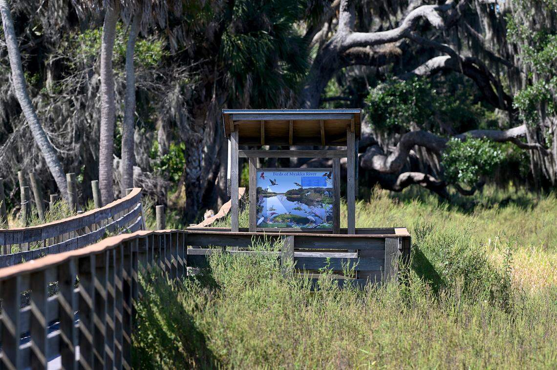 A boardwalk for bird-watching and taking in the scenic views at the Myakka River State Park on May 2, 2024.
