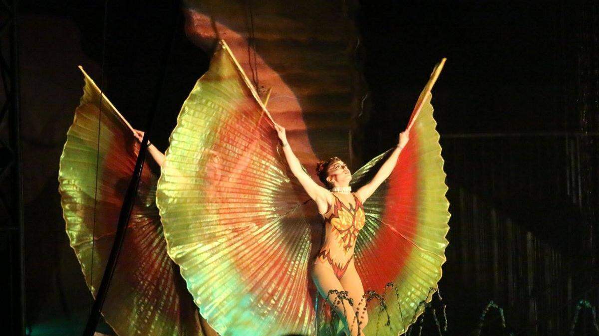 Cirque Italia, a European-style circus featuring acts that perform with 35,000 gallons of water, runs Feb. 18-20 at 102 Riviera Dunes Way, Palmetto. 
 PUBLICITY PHOTO