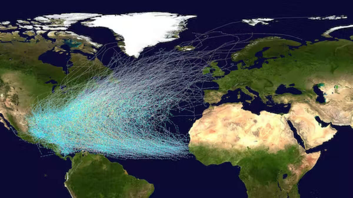 Atlantic hurricane tracks from 1851 to 2012.