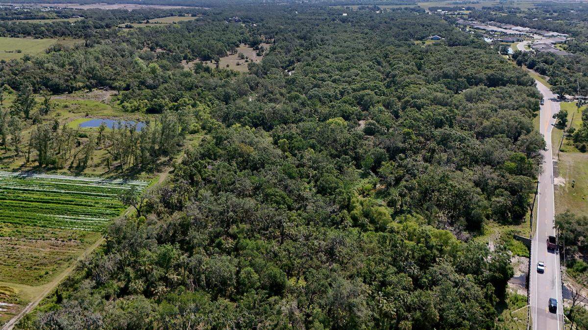 Manatee County officials have approved the purchase of a 93-acre property off of Golf Course Road in Parrish for a new stormwater management area shown in this photo on April 16, 2025.